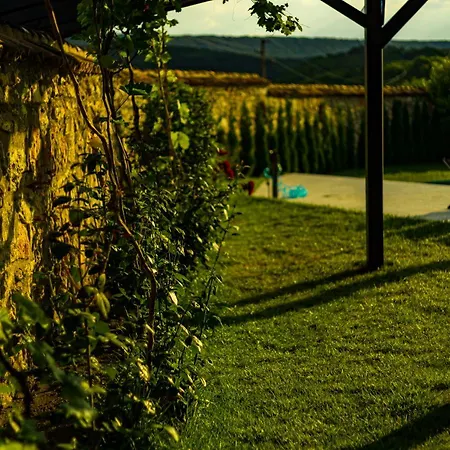 فيلة Heaven Hills *